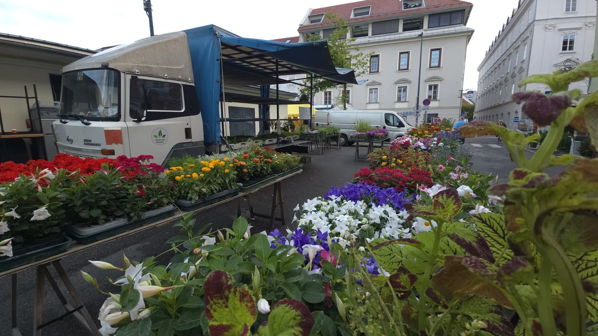 Marktstand von Gartenbau Johannes Macher mit Beet- und Balkonpflanzen